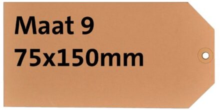 HF2 Label karton nr9 200gr 75x150mm chamois 1000stuks