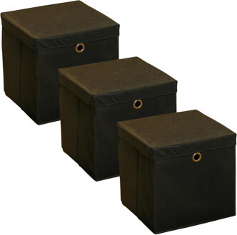 Hi Opbergmand - 3x - zwart - 30 x 30 cm - kunststof - met deksel