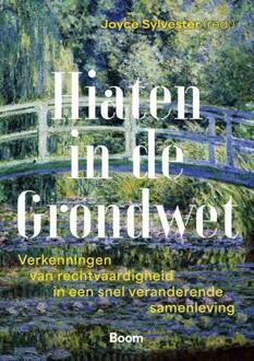 Hiaten in de Grondwet -  Joyce Sylvester (ISBN: 9789047302643)