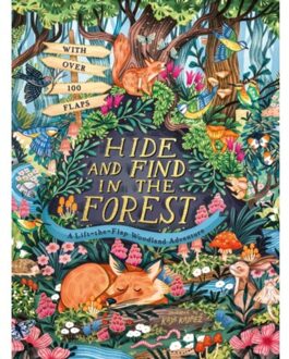 Hide And Find In The Forest: A Lift-The-Flap Woodland Adventure - Scholastic