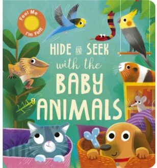 Hide And Seek With The Baby Animals - Hide And Seek - Littleboy, Molly