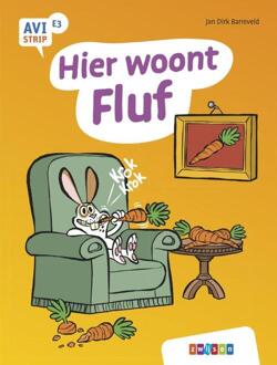 Hier woont Fluf -  Jan Dirk Barreveld (ISBN: 9789048755929)