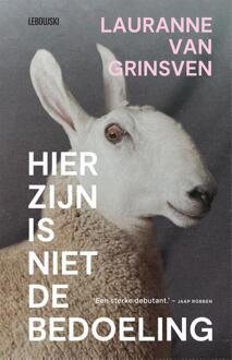 Hier zijn is niet de bedoeling - Lauranne van Grinsven - ebook