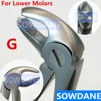 High Quality Stainless Steel Dental Adult Tooth Extraction Plier For Lower Molars Dental Orthodontic Surgery Forcep