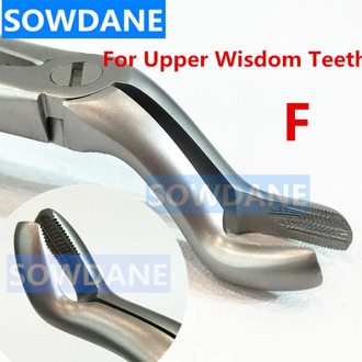 High Quality Stainless Steel Dental Adult Tooth Extraction Plier For Upper Wisdom Teeth Dental Orthodontic Surgery Forcep