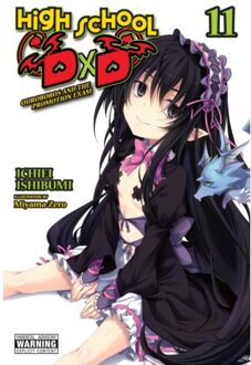High School Dxd, Vol. 11 (Light Novel) - High School Dxd (Light Novel) - Haydn Trowell