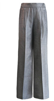 High waist glitter pantalon Jildau  grijs Zilver - XS,S,L,