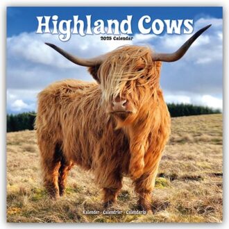 Highland Cows Calendar 2025 Square Animal Wall Calendar - 16 Month - Browntrout Wandkalender - Avonside Publishing Ltd