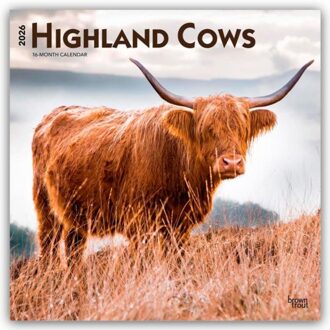 Highland Cows - Hochlandrinder 2026 - 16-Monatskalender - Browntrout Wandkalender - Browntrout Publishers