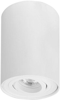 Highlight Spot Maxi Rebel Rond Ø 10 cm wit