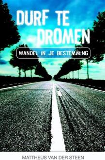 Highway Media Durf te dromen - Boek Mattheus van der Steen (9079403016)