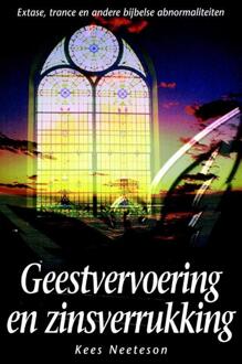 Highway Media Geestvervoering en zinsverrukking - Boek Kees Neeteson (9075226063)