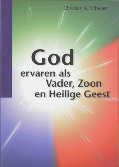 Highway Media God ervaren als Vader, Zoon en Heilige Geest - Boek Christian A. Schwarz (906067247X)