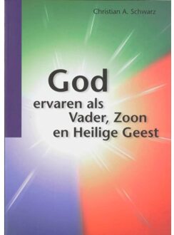 Highway Media God ervaren als Vader, Zoon en Heilige Geest - Boek Christian A. Schwarz (906067247X)