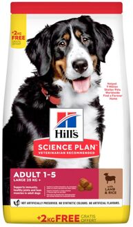 Hills Hill's Science Plan Adult Large Breed - Hondenvoer - Lam - Rijst - 14 kg
