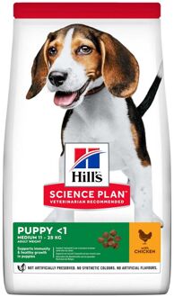 Hills Science Plan Canine Puppy Healthy Development Medium Kip 12 kg