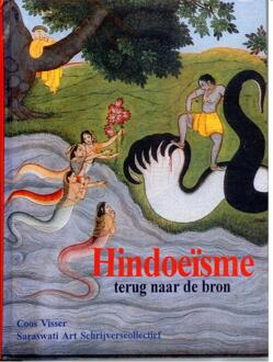 Hindoeisme - Boek Coos Visser (9076389020)
