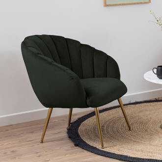 Hioshop Dano fauteuil lounge fauteuil groen, messing.