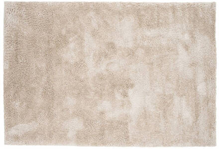 Hioshop Walter vloerkleed 290x200cm beige.