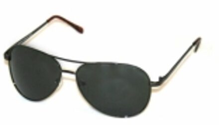 Hip Pilotenbril large Zwart/groen glas
