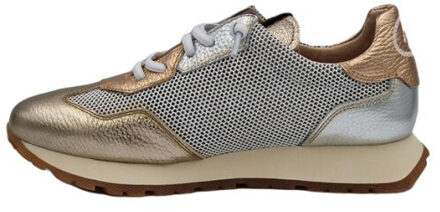 Hispanitas Chv253869 Goud - 40