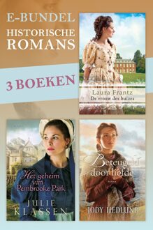 Historische romans - eBook Laura Frantz (9029727411)