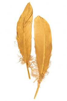 Hobby/knutsel Ganzenveer/sierveer - 10x stuks - goud - 18-22 cm - decoratie Goudkleurig