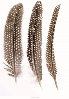 Hobby/knutsel Parelhoen/fazanten sierveren - 5x stuks - decoratie materialen