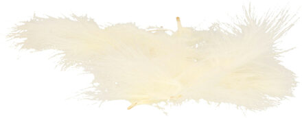 Hobby knutsel veren - 100x - creme - 7 cm - sierveren - decoratie