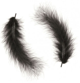 Hobby knutsel veren - 15x - zwart - 16 cm - sierveren