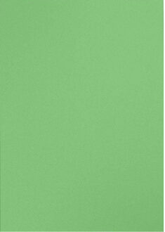 Hobby papier groen karton A4