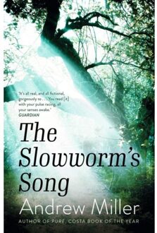 Hodder The Slowworm's Song - Andrew Miller