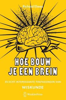 Hoe bouw je een brein - Boek Richard Elwes (9000325412)