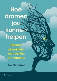 Hoe dromen jou kunnen helpen -  Ilse Demaret (ISBN: 9789464983388)
