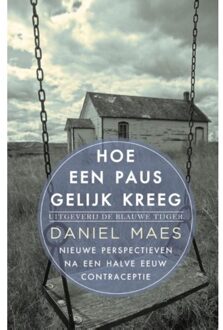 Hoe een paus gelijk kreeg - Boek Daniel Maes (9492161370)