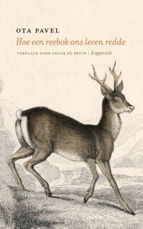 Hoe een reebok ons leven redde - Ota Pavel - ebook