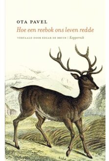 Hoe Een Reebok Ons Leven Redde - Ota Pavel