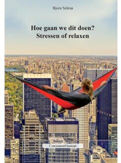 Hoe gaan we dit doen? - Boek Bjorn Schraa (9492703009)