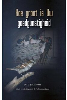 Hoe groot is Uw goedgunstigheid - (ISBN:9789461151872)