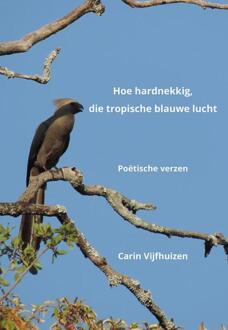 Hoe Hardnekkig, Die Tropische Blauwe Lucht - Carin Vijfhuizen