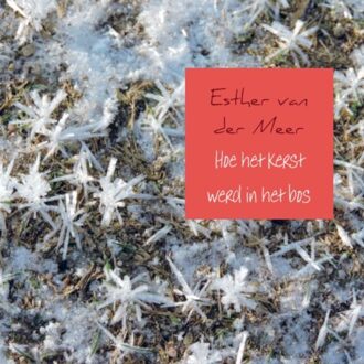 Hoe het kerst werd in het bos - Boek Esther van der Meer (946318418X)