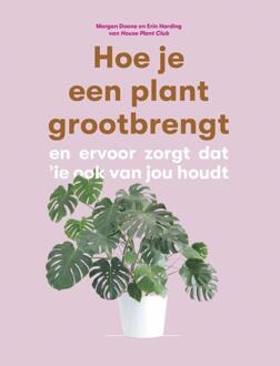 Hoe Je Een Plant Grootbrengt