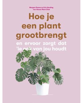 Hoe Je Een Plant Grootbrengt