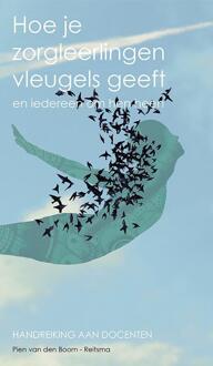 Hoe je zorgleerlingen vleugels geeft en iedereen om hen heen - Boek Pien van den Boorn-Reitsma (9090284176)