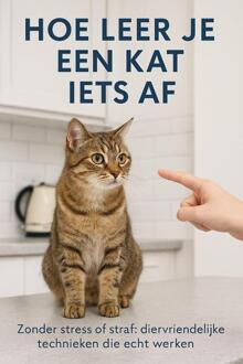 Hoe leer je een kat iets af -  Andries B.V. (ISBN: 9789465192123)