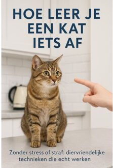 Hoe Leer Je Een Kat Iets Af - Andries B.V.