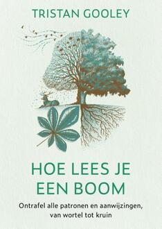 Hoe lees je een boom -  Tristan Gooley (ISBN: 9789043931977)