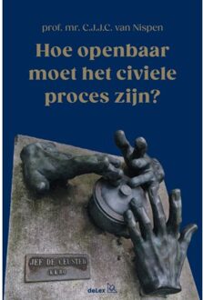 Hoe Openbaar Moet Het Civiele Proces Zijn? - C.J.J.C. van Nispen