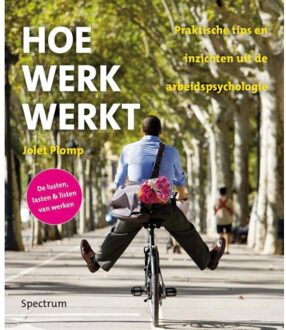 Hoe werk werkt - Boek Jolet Plomp (9000338298)