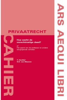 Hoe werkt de onrechtmatige daad? - Boek Ton Hartlief (9069161877)